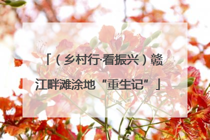 （乡村行·看振兴）赣江畔滩涂地“重生记”