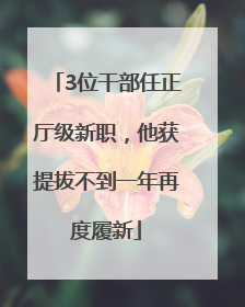 3位干部任正厅级新职，他获提拔不到一年再度履新