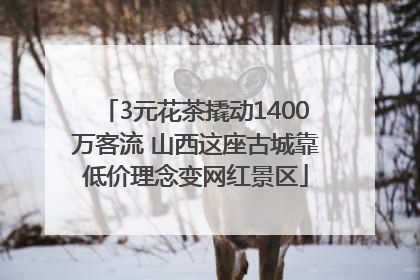 3元花茶撬动1400万客流 山西这座古城靠低价理念变网红景区
