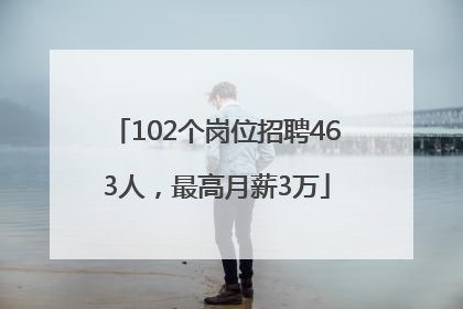 102个岗位招聘463人，最高月薪3万