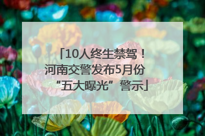 10人终生禁驾！河南交警发布5月份“五大曝光”警示