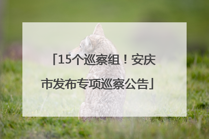 15个巡察组！安庆市发布专项巡察公告