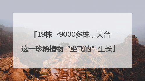 19株→9000多株，天台这一珍稀植物“坐飞的”生长