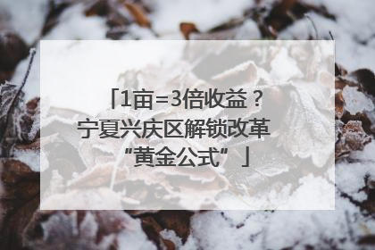 1亩=3倍收益？宁夏兴庆区解锁改革“黄金公式”