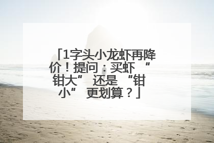 1字头小龙虾再降价！提问：买虾 “钳大” 还是 “钳小” 更划算？
