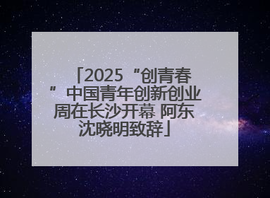 2025“创青春”中国青年创新创业周在长沙开幕 阿东沈晓明致辞