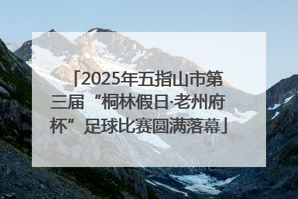 2025年五指山市第三届“桐林假日·老州府杯”足球比赛圆满落幕