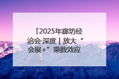 2025年廊坊经洽会·深度｜放大“会展+”乘数效应 打造消费新场景