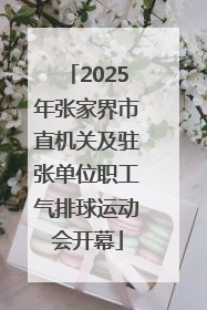 2025年张家界市直机关及驻张单位职工气排球运动会开幕