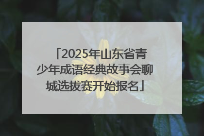2025年山东省青少年成语经典故事会聊城选拔赛开始报名