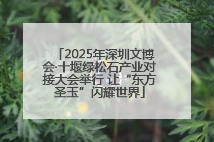 2025年深圳文博会·十堰绿松石产业对接大会举行 让“东方圣玉”闪耀世界