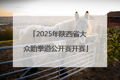 2025年陕西省大众跆拳道公开赛开赛