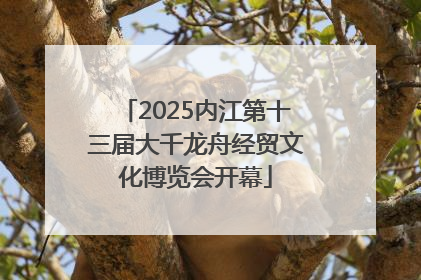 2025内江第十三届大千龙舟经贸文化博览会开幕