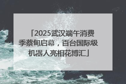 2025武汉端午消费季蔡甸启幕，百台国际级机器人亮相花博汇