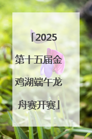 2025第十五届金鸡湖端午龙舟赛开赛