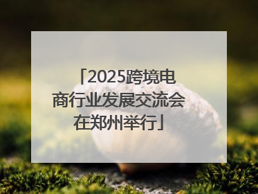 2025跨境电商行业发展交流会在郑州举行