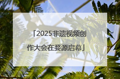 2025非遗视频创作大会在婺源启幕