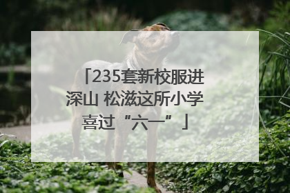 235套新校服进深山 松滋这所小学喜过“六一”