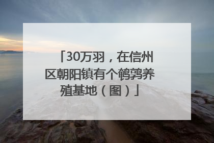 30万羽，在信州区朝阳镇有个鹌鹑养殖基地（图）