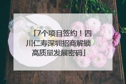 7个项目签约！四川仁寿深圳招商解锁高质量发展密码