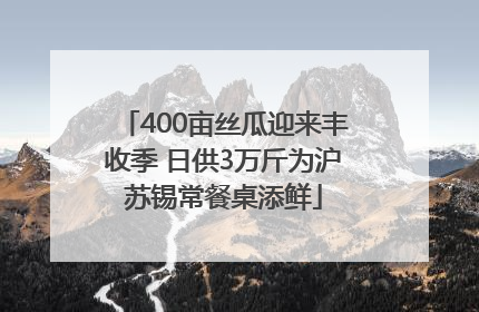 400亩丝瓜迎来丰收季 日供3万斤为沪苏锡常餐桌添鲜