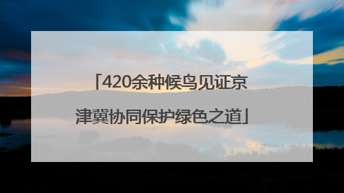 420余种候鸟见证京津冀协同保护绿色之道