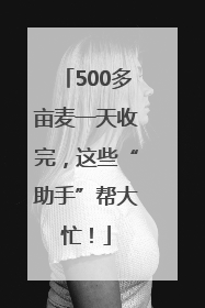500多亩麦一天收完，这些“助手”帮大忙！