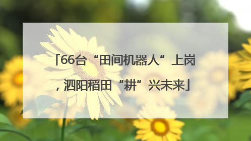 66台“田间机器人”上岗，泗阳稻田“耕”兴未来