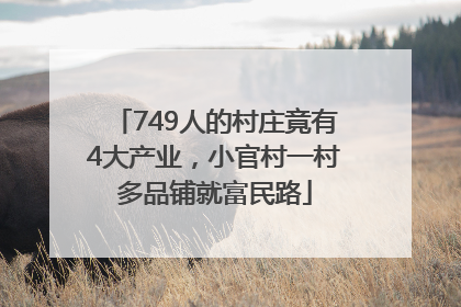 749人的村庄竟有4大产业，小官村一村多品铺就富民路