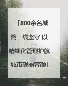 800余名城管一线坚守 以精细化管理护航城市靓丽容颜