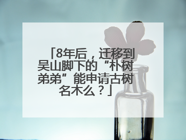 8年后，迁移到吴山脚下的“朴树弟弟”能申请古树名木么？