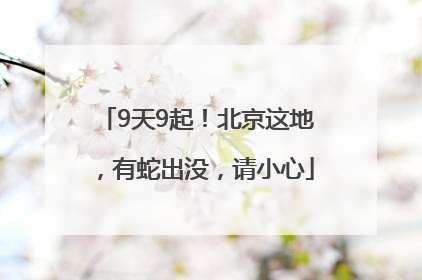 9天9起！北京这地，有蛇出没，请小心