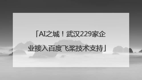 AI之城！武汉229家企业接入百度飞桨技术支持