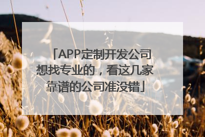 APP定制开发公司想找专业的，看这几家靠谱的公司准没错