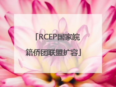 RCEP国家皖籍侨团联盟扩容