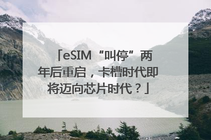 eSIM“叫停”两年后重启，卡槽时代即将迈向芯片时代？